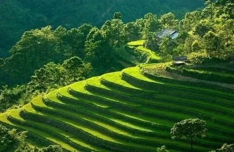 Hotspot Matrix: Biến 4 kiểu áo không thể thiếu thành cơ hội marketing đột phá