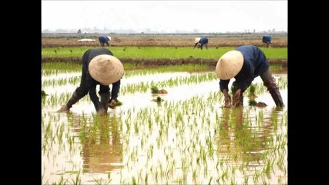 Sự Bùng Nổ Của Video Ngắn và Trí Tuệ Nhân Tạo: Vai Trò Thiết Yếu Của Đào Tạo Kỹ Năng Sáng Tạo Nội Dung